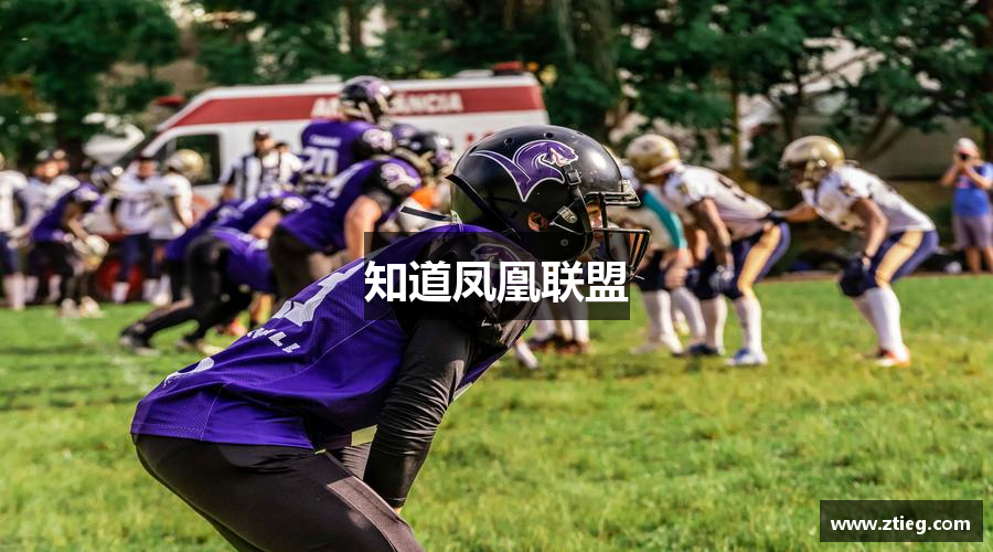 知道凤凰联盟